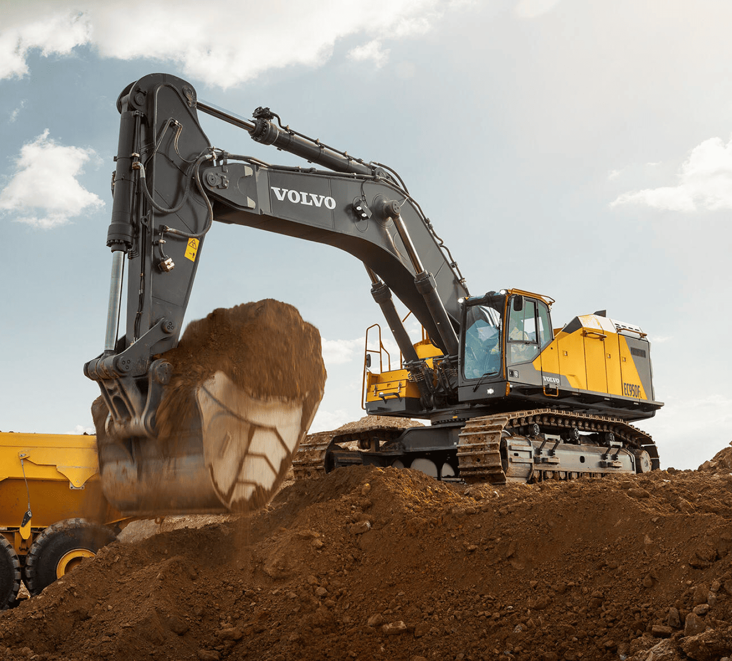 image-about-intro-section